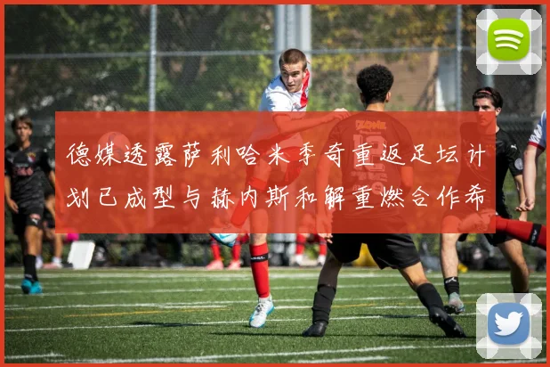 德媒透露萨利哈米季奇重返足坛计划已成型与赫内斯和解重燃合作希望